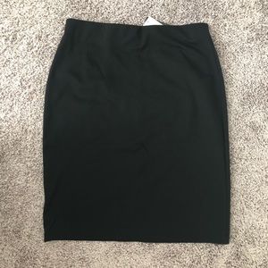Premise- Pencil Skirt